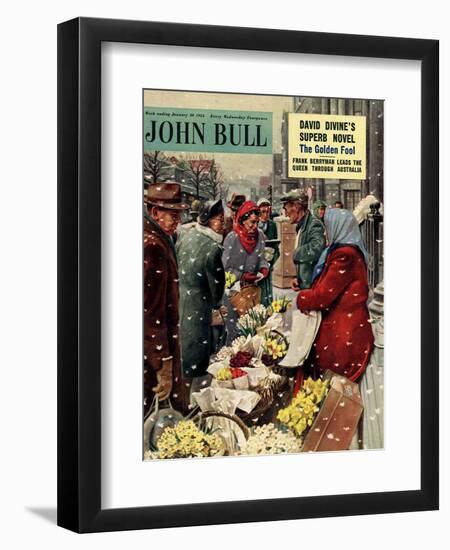 John Bull, Flowers Stalls Snowing Shopping Markets Winter Cold Weather Magazine, UK, 1954-null-Framed Giclee Print