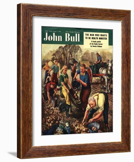 John Bull, Potatoes Magazine, UK, 1950-null-Framed Giclee Print