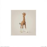 Giraffe-John Butler Art-Mounted Art Print