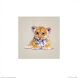 Jaguar-John Butler Art-Mounted Art Print