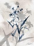 Desert Botanicals II-John Butler-Art Print