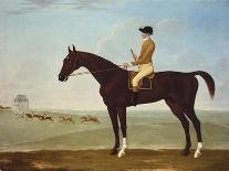 Chesnut Racehorse with Jockey Up on Newmarket Heath, 18th Century-John Byam Shaw-Giclee Print