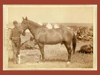 Roping Gray Wolf, Cowboys Take in a Gray Wolf on Round Up, in Wyoming-John C. H. Grabill-Framed Premier Image Canvas