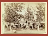 Ox Teams at Sturgis, D.T. [I.E. Dakota Territory]-John C. H. Grabill-Giclee Print