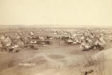Ox Teams at Sturgis, D.T. [I.E. Dakota Territory]-John C. H. Grabill-Giclee Print