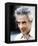 John Cassavetes-null-Framed Stretched Canvas