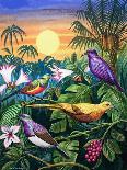 Tropical Sunbirds-John Chalkley-Giclee Print