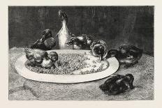 Ducks and Green Peas, 1876 Picture-John Charles Dollman-Giclee Print