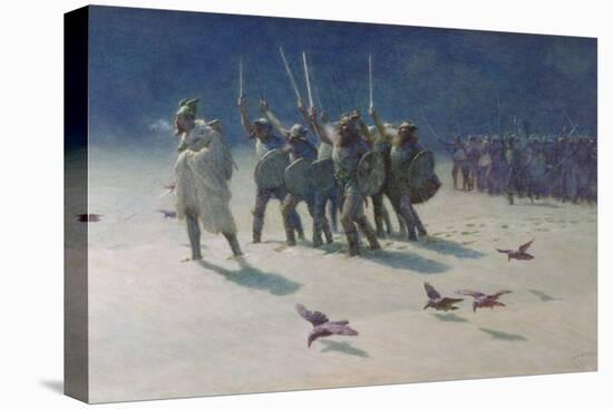 Stretched Canvas Print, , large