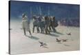Stretched Canvas Print