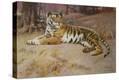 Stretched Canvas Print