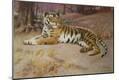 Giclee Print