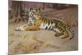 Giclee Print
