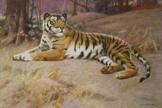 First Come, First Served, in the Exhibition of the Royal Institute of Painters in Water Colours-John Charles Dollman-Giclee Print