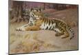 Giclee Print
