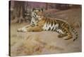 Stretched Canvas Print
