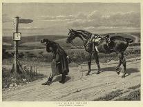 Sheep-Dog Trials at the Alexandra Palace-John Charles Dollman-Giclee Print
