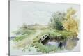 Stretched Canvas Print