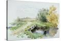 Stretched Canvas Print