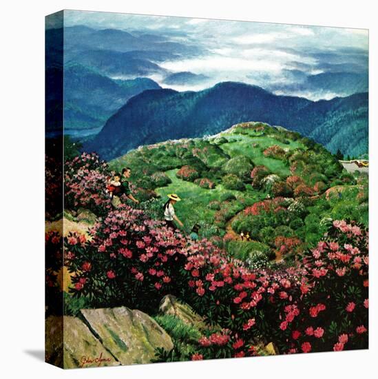 Stretched Canvas Print, , large