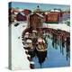 Stretched Canvas Print