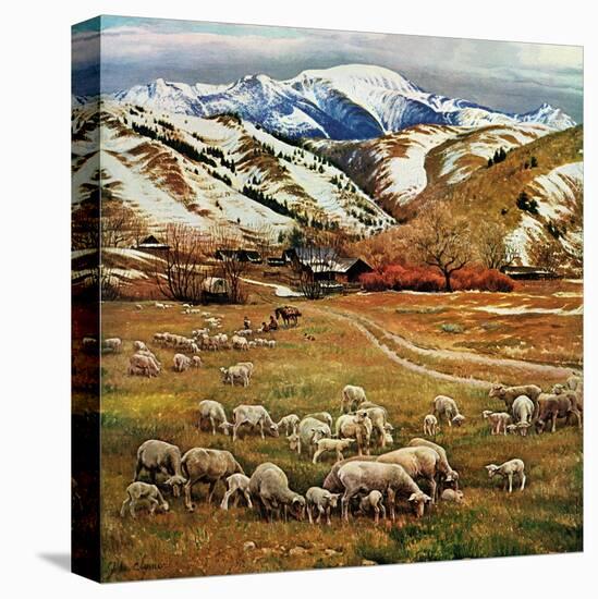 Stretched Canvas Print, , large