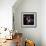 John Coltrane - Black Pearls-null-Framed Art Print displayed on a wall