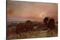 Stretched Canvas Print
