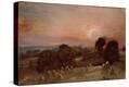 Stretched Canvas Print