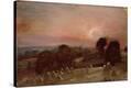 Stretched Canvas Print