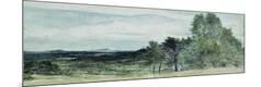 Giclee Print