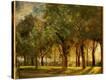 Stretched Canvas Print