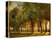 Stretched Canvas Print