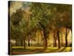 Stretched Canvas Print