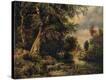 Stretched Canvas Print