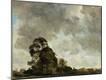 Giclee Print