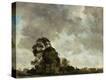 Stretched Canvas Print