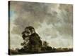 Stretched Canvas Print