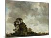 Giclee Print