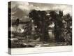 Stretched Canvas Print