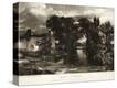 Stretched Canvas Print