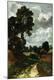 Premium Giclee Print