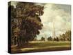 Stretched Canvas Print
