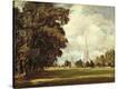 Stretched Canvas Print