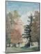 Giclee Print