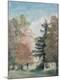 Giclee Print
