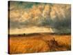 Stretched Canvas Print