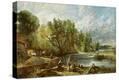 Stretched Canvas Print