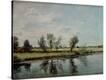 Stretched Canvas Print