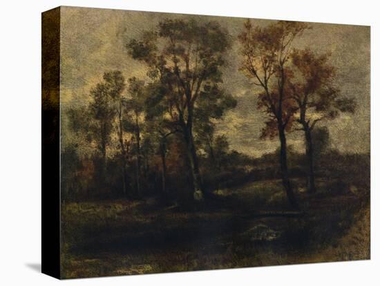 Stretched Canvas Print, , large